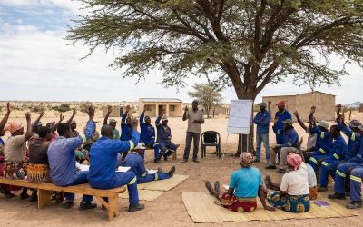 The Future of Decentralized Decision-Making in Namibia
